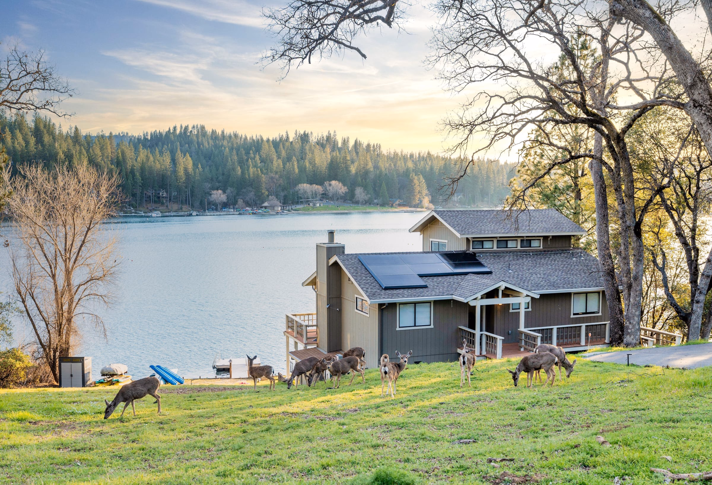 Lakefront house between mature trees and Pine Mountain Lake, with a herd of deer grazing on the lawn