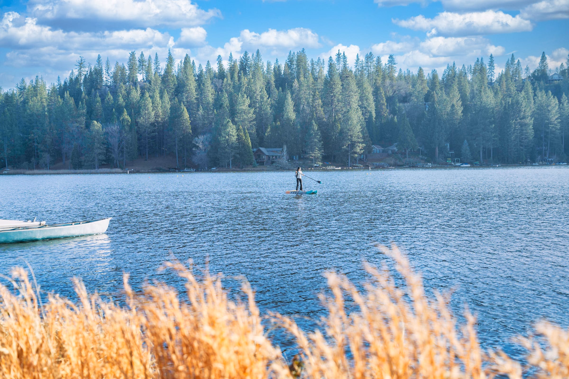 A paddleboarder crossing calm lake water with a pine-covered shore in the distance